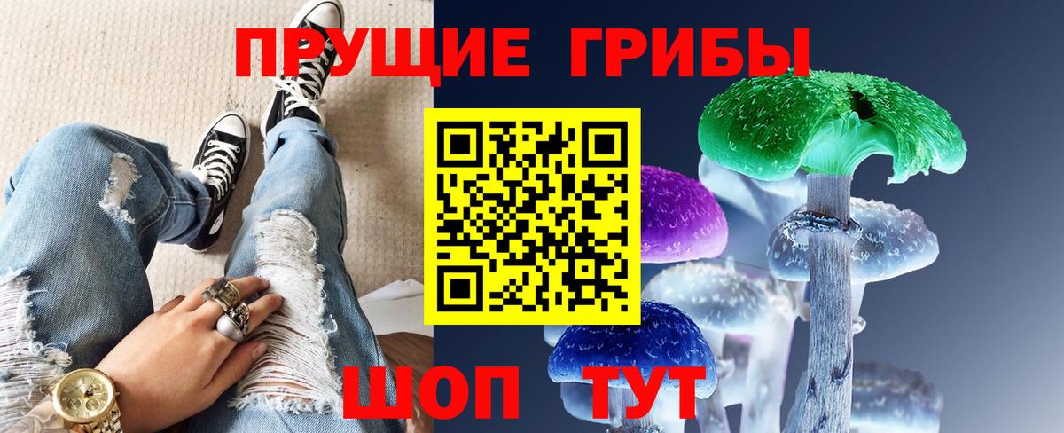 Камышин  Псилоцибиновые грибы Psilocybine cubensis  Вход с VPN  Галлюциногенные грибы мицелий 