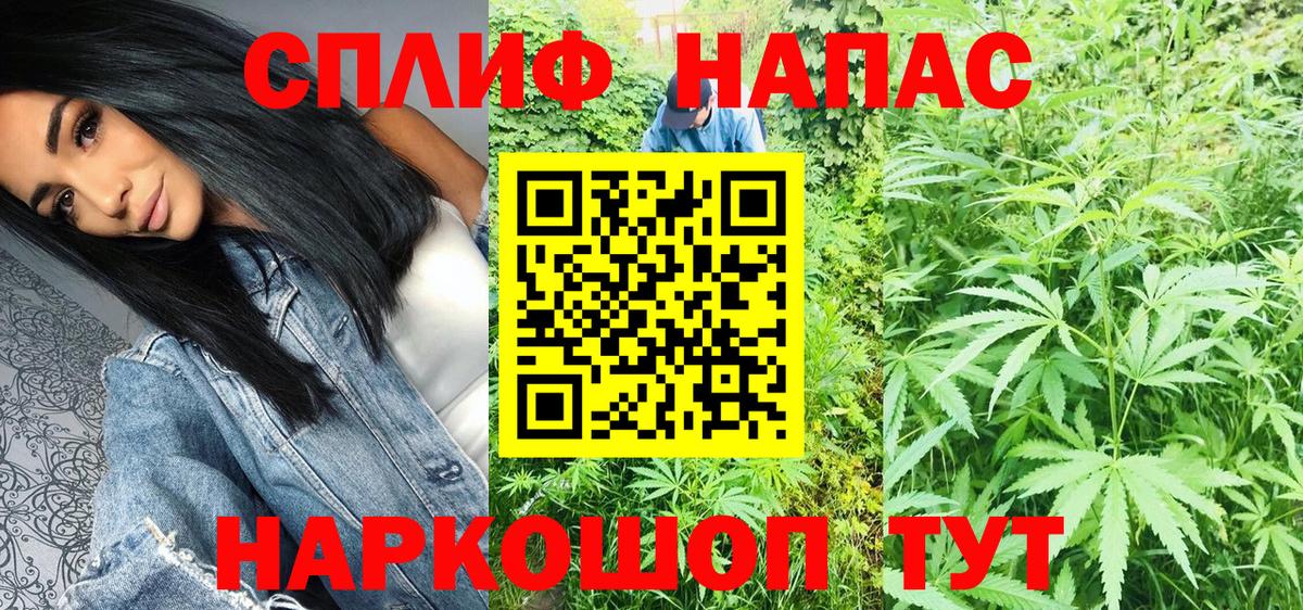 Марихуана Amnesia  Марихуана тримм  Вход с VPN  Камышин  Марихуана ГИДРОПОН  Бошки марихуана THC 21% 